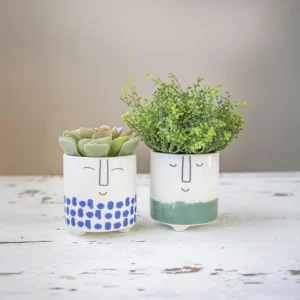 71Cs6XBtamL._AC_SY879_-1 copy